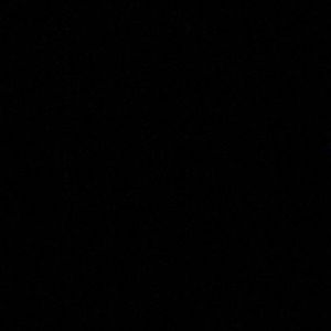 Meet your Posher, Selicia